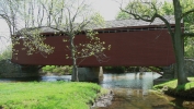 PICTURES/Bridges, Falls & A Furnace/t_Loys Station Covered Bridge13.jpg